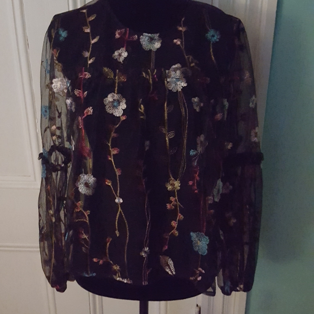Sheer embroidered top